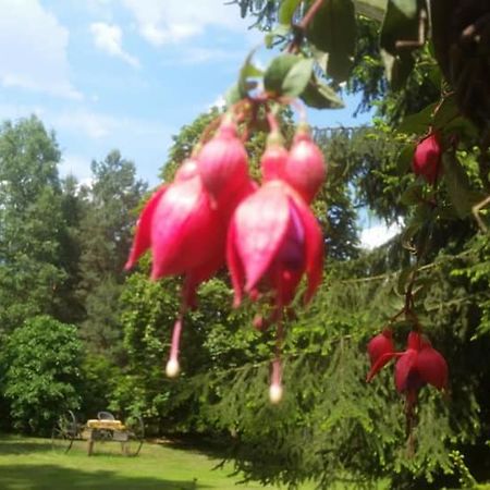 Albertowka Trzciel Dış mekan fotoğraf